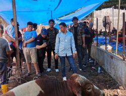 Idul Adha 1447 H: Grib Jaya Medan Tebar Manfaat Lewat Pemotongan Hewan Kurban