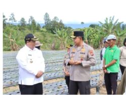 Kapolda Sumut Tinjau Sentra Bawang Putih di Samosir, Polri Dukung Ketahanan Pangan Nasional