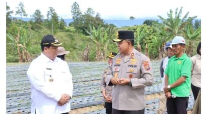 Kapolda Sumut Tinjau Sentra Bawang Putih di Samosir, Polri Dukung Ketahanan Pangan Nasional