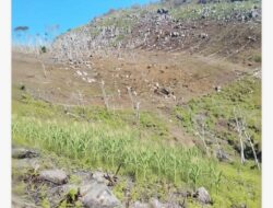 Bupati Lany Jaya Alentinus  Yigibalom Serahkan bantuan alat pertanian berbagai distrik untuk Peningkatkan Produktivitas Lahan Pertanian
