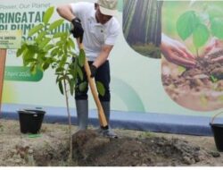 PTPN IV PalmCo berhasil Tanam 76 Ribu Pecah Rekor Penghijauan 2026 selama 3 Tahun di Wilayah Kerja,Jaga lingkungan tetap Asri