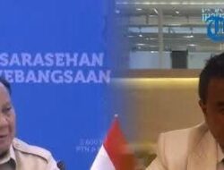 Hotman Paris beri Saran ke Presiden, Jabatan Komisaris BUMN hingga BUMD di Tinjau Ulang