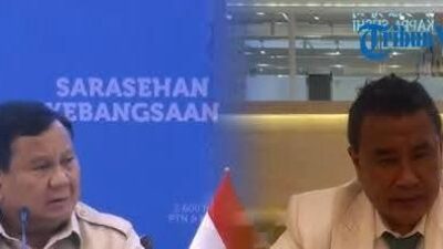 Hotman Paris beri Saran ke Presiden, Jabatan Komisaris BUMN hingga BUMD di Tinjau Ulang