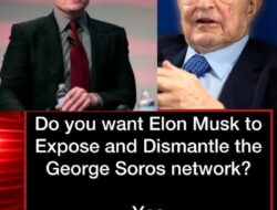 Apakah Anda ingin Elon Musk Mengekspos dan Membongkar jaringan George Soros