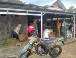 Dukung Swasembada Pangan, Babinsa Koramil Jatiroto Kunjungi Tempat Penggilingan Padi