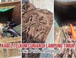 Terbongkarnya Dugaan Pencurian Kabel PT Telkom, Berawal dari Temuan Tim PPWI di Lampung Timur