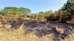 Sebulan 10 Kali Kebakaran di Karawang, Terakhir Lahan Kosong di Palumbonsari