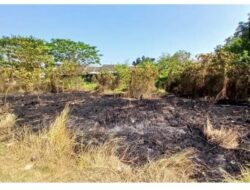 Sebulan 10 Kali Kebakaran di Karawang, Terakhir Lahan Kosong di Palumbonsari