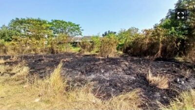 Sebulan 10 Kali Kebakaran di Karawang, Terakhir Lahan Kosong di Palumbonsari