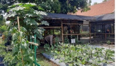 Forkopimda Jambangan Galakkan Pemanfaatan Lahan Pekarangan Warga Kota Dukung Program Ketahanan Pangan