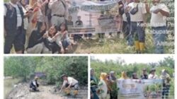 Peringatan Hari Manggrove Sedunia 2026,Pengurus AMPHIBI Sumut laksanakan Penanaman Bibit 500 Propagul Manggrove