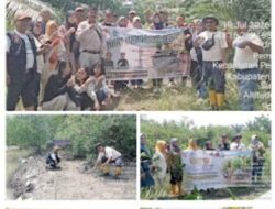 Peringatan Hari Manggrove Sedunia 2026,Pengurus AMPHIBI Sumut laksanakan Penanaman Bibit 500 Propagul Manggrove