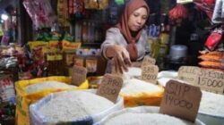 Harga Beras Naik, Minyak Goreng Turun Tipis, BPS Ungkap Kondisi Masyarakat