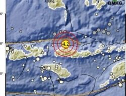 Gempa M7,7 di Laut Flores: Potensi Tsunami Mengancam Sejumlah Wilayah