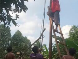 Masyarakat Gotong Royong Pasang  Tiang Listrik,Bantuan dari Yermanto Anggota DPRD kabupaten melawi dari fraksi PAN