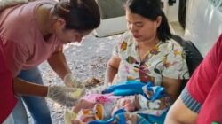 Viral,Bayi yang Lahir di Tengah Gempa Sikka