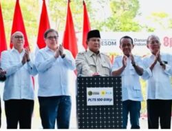 Presiden Prabowo Resmikan Program PLTS Sejumlah Wilayah di Bali