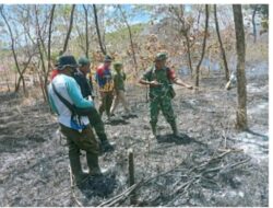 Kebakaran Hutan dan Lahan di Gunung Sewo Kabupaten Soppeng