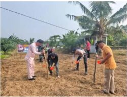 Dukung Swasembada Pangan 2026, Polres Kuansing Bersama Kelompok Tani Tanam Jagung Di Lahan Satu Hektare