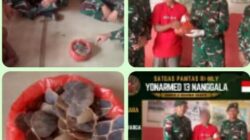 Gencarkan Komsos dan Edukasi Hukum, Satgas Pamtas Yonarmed 13/Nanggala Terima Penyerahan Sukarela 600 Gram Sisik Trenggiling dari Warga Perbatasan