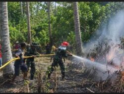 Tim Pemadam Kebakaran Denzipur 15/SLM Sama Masyarakat berhasil  Padamkan Kebakaran Hutan dan Lahan di Kebun Kelapa Desa Tongko, Poso