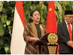 Puan Minta Dugaan Lahan Bekas Karhutla Beralih Jadi Kebun Sawit Diselidiki