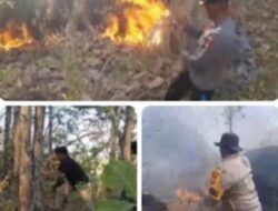 Koloborasi Polisi dan Tim Gabungan  Gerak Cepat Tangani Karhutla di Gunung Batu Kappo