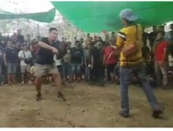 Dugaan Judi Sabung Ayam di Sebruang, Sosok Berinisial Af Disebut
