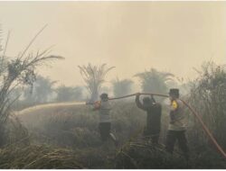 Karhutla Hanguskan 2 Hektare Lahan Gambut di Trans Papuyuan, Polres Balangan Bergerak Cepat