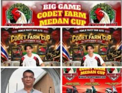 Codet dan Aan Gelar Perjudian Laga Ayam di Kota Binjai, Polisi Diduga Tutup Mata