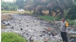 Ground Check Hotspot di Dana Mulya, Polisi Temukan Bakaran Sabut Kelapa