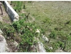 Irigasi Rusak Ancam Ketahanan Pangan Masyarakat Wanokaka Sumba Barat