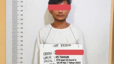 Setelah Didemo Buruh, Polres Labuhanbatu Baru Bergerak, Amankan  Satu Terduga Pelaku Curas