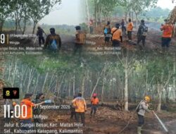 Upaya Cegah Api Kembali Menyala, Brimob Kalbar Basahi Lahan Bekas Terbakar di Kabupaten Ketapang