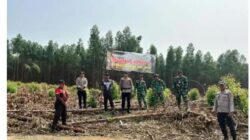 Satuan Brimob Polda Sumut Laksanakan BKO di wilayah hukum Polres Padang Lawas terus Tingkatkan Kegiatan Patroli dan Imbauan Kepada Masyarakat