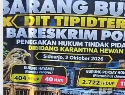 Ribuan Burung Vietnam Masuk Sidoarjo Tanpa Dokumen Karantina, Dua WNA Di Amankan
