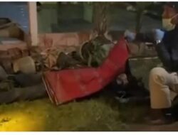 Korban Tewas di Way Tenong: Penagih Utang Tewas Dibacok Lansia Setelah Tolak Negosiasi Rp500 Ribu