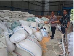 Polsek Talawi Kirim 2.3 Ton Jagung Ke Bulog Asahan