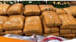 Operasi Gabungan  Amankan Satu Ton Ketamin dan Delapan Tersangka