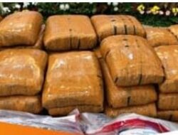 Operasi Gabungan  Amankan Satu Ton Ketamin dan Delapan Tersangka