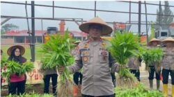 Batalyon C Pelopor Satuan Brimob Polda Sumatera Utara Laksanakan Kegiatan Panen Sayur di lahan Kawasan Rumah Pangan Lestari (KRPL), dilanjutkan dengan Makan bersama di Mess Batalyon C