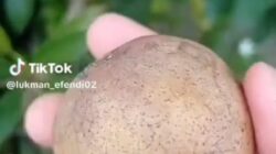 Mengobati Vertigo Cukup Dengan Memaksimalkan Fungsi Lubang Hidung