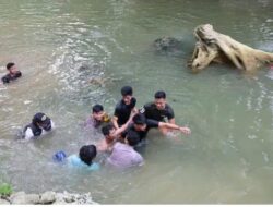 Lompat ke Sungai Hendak Ditangkap, Polres Nisel Amankan Terduga DPO Narkoba
