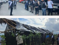 Kapolres Binjai AKBP R. Bimo Moernanda Tegaskan Komitmen Berantas Narkoba, Barak di Tunggurono Dimusnahkan